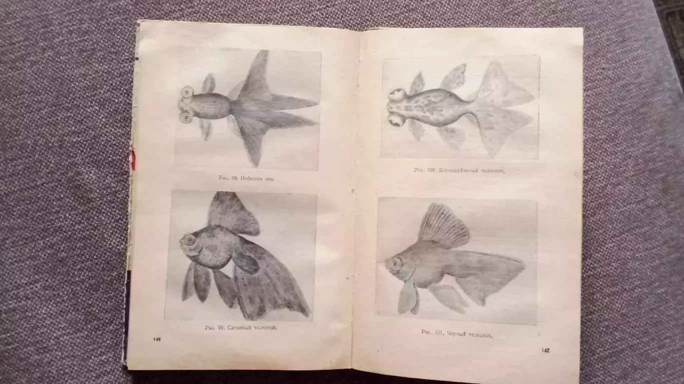 М.А. Пешкова - Комнатный аквариум 1965 г. (Аквариумные рыбки Рыбоводство) 5