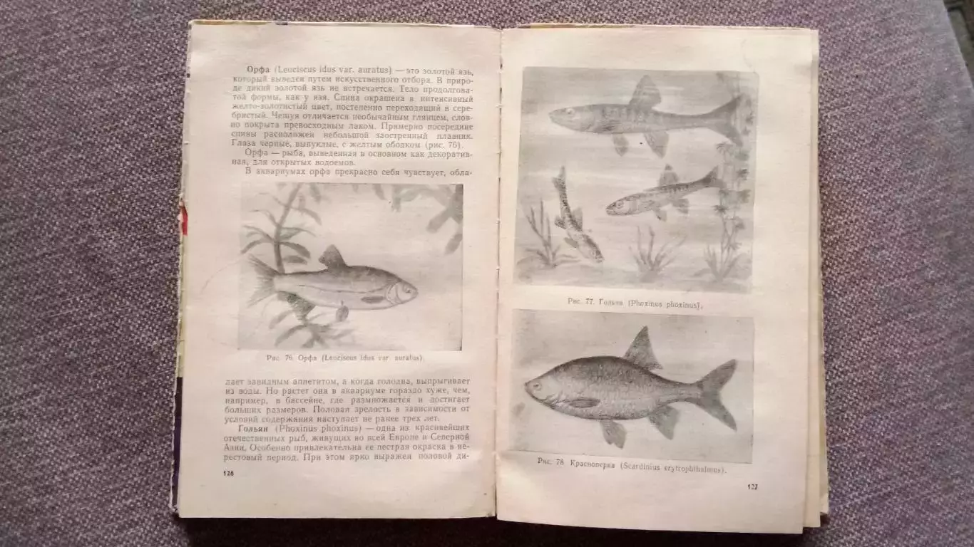 М.А. Пешкова - Комнатный аквариум 1965 г. (Аквариумные рыбки Рыбоводство) 6