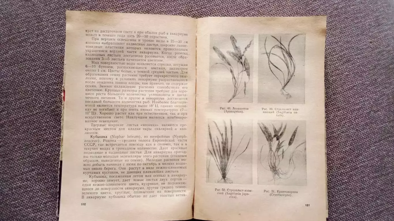 М.А. Пешкова - Комнатный аквариум 1965 г. (Аквариумные рыбки Рыбоводство) 7