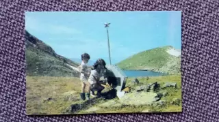 Карманный календарик : Защитникам Кавказа 1988 г. Памятник война (Ребенок Дети)