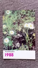 Карманный календарик : Ромашка 1988 г. Цветы Флора Растения