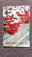 Карманный календарик : Рябина 1988 г. Растения Флора