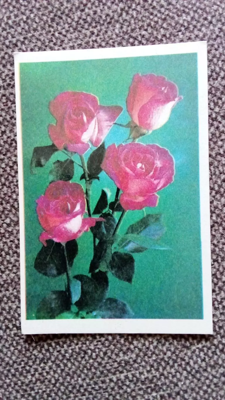 Карманный календарик : Розы 1990 г. Цветы Флора Растения