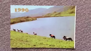 Карманный календарик : Лошади у озера 1990 г. (Лошадь Конь Фауна Животные)
