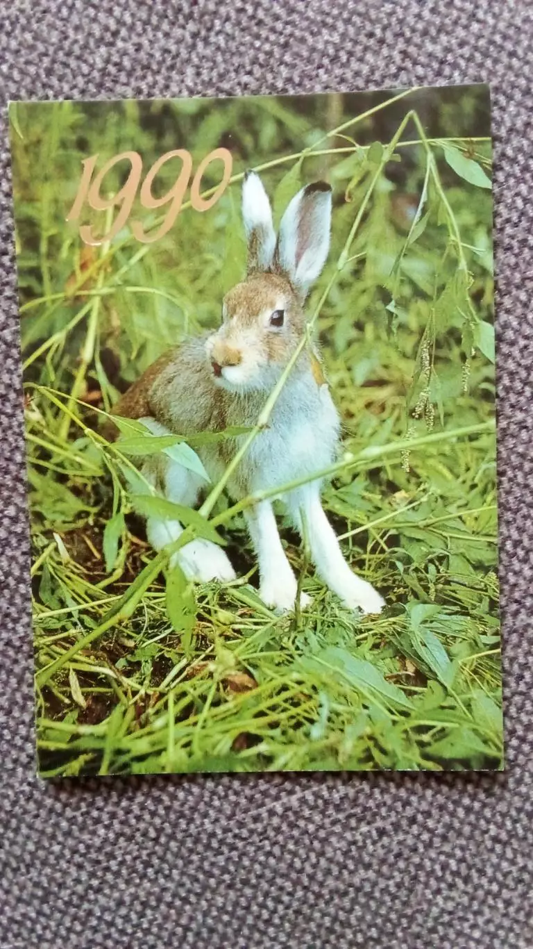 Карманный календарик : Заяц 1990 г. Фауна Животные