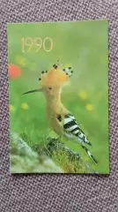 Карманный календарик : Удод 1990 г. (Птица Фауна)