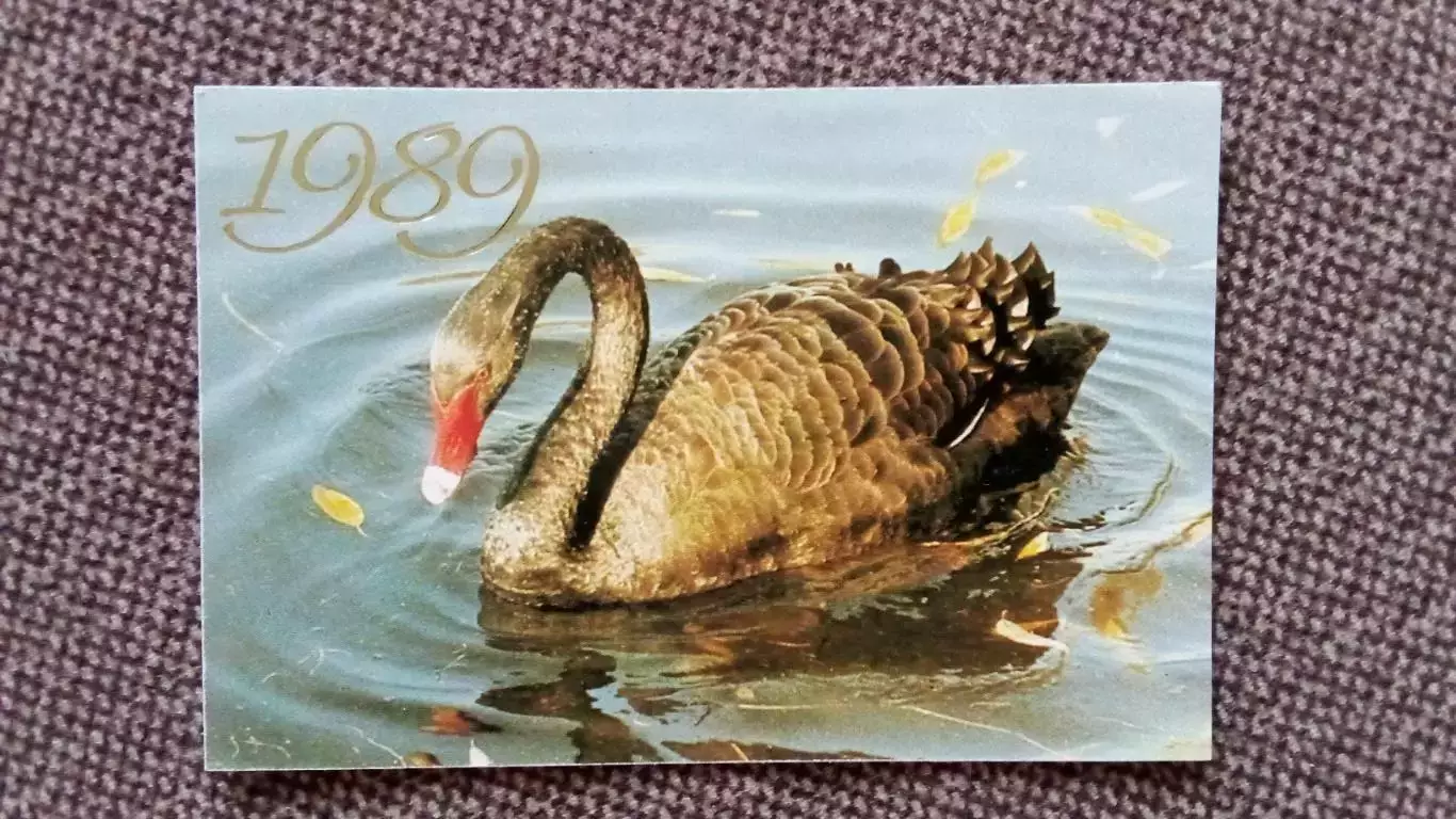 Карманный календарик : Черный лебедь 1989 г. Птица Фауна
