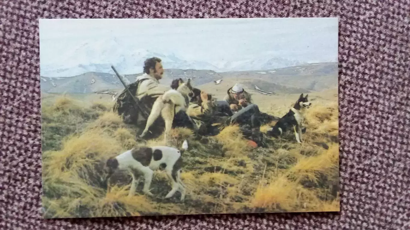 Карманный календарик : Охотничий привал 1988 г. Охота Охотник Собака Спорт