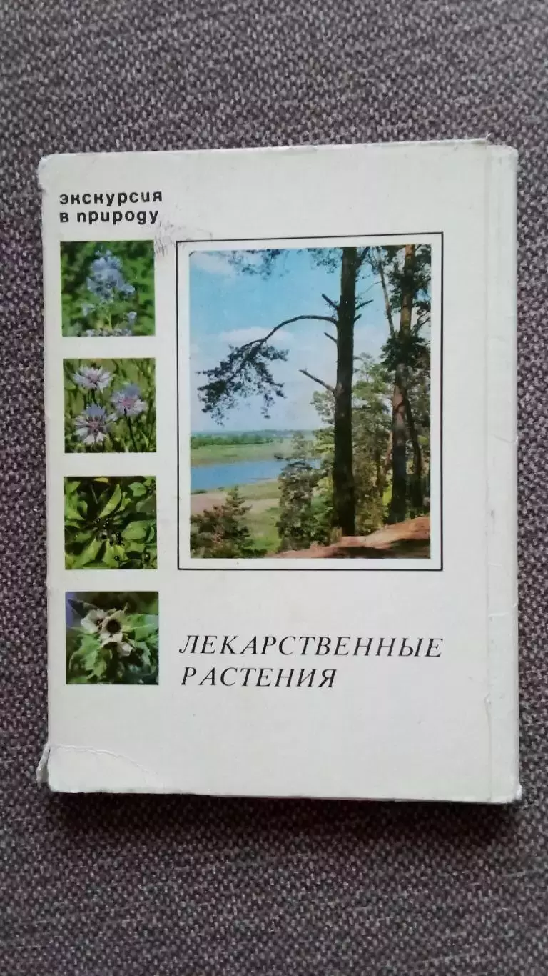 Лекарственные растения 1978 г. полный набор - 25 открыток Флора Цветы