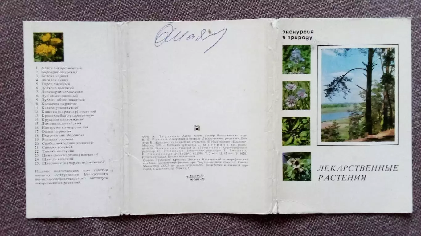 Лекарственные растения 1978 г. полный набор - 25 открыток Флора Цветы 1