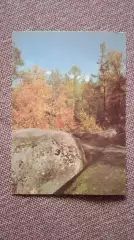 Чукотка. Пейзаж. Валуны . Лес 1990 г. (почтовая с маркой) Природа
