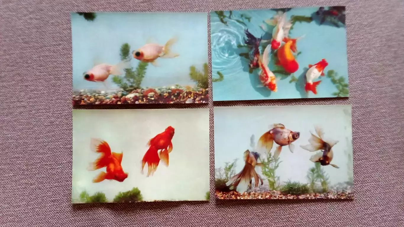 Китай (China) : Золотые рыбки (Goldfische) 1964 г. полный набор - 14 открыток 2