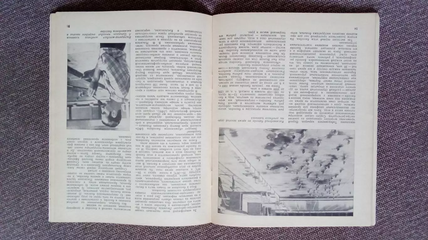 Ежегодник - Плавание (выпуск № 2) 1981 г. Олимпиада - 80 Спорт Олимпийские игры 4