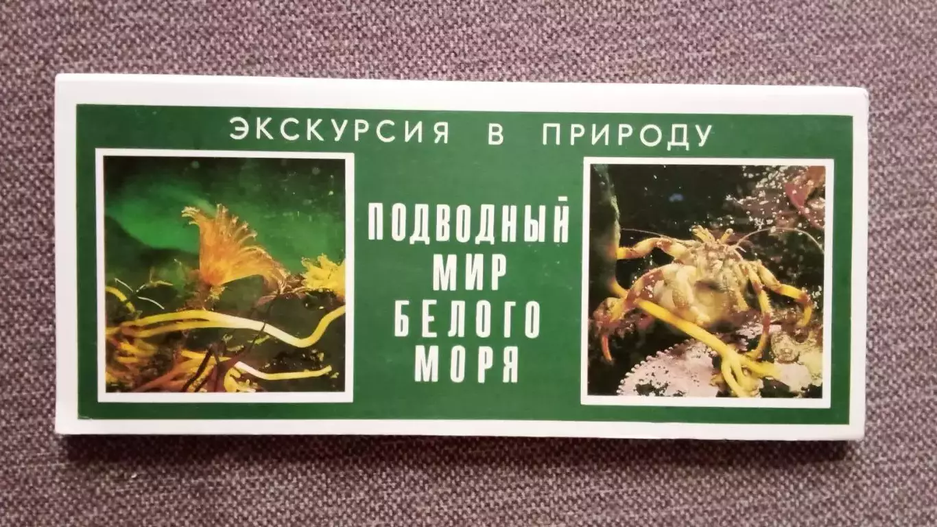 Подводный мир Белого моря 1980 г. полный набор - 15 открыток (флора и фауна)
