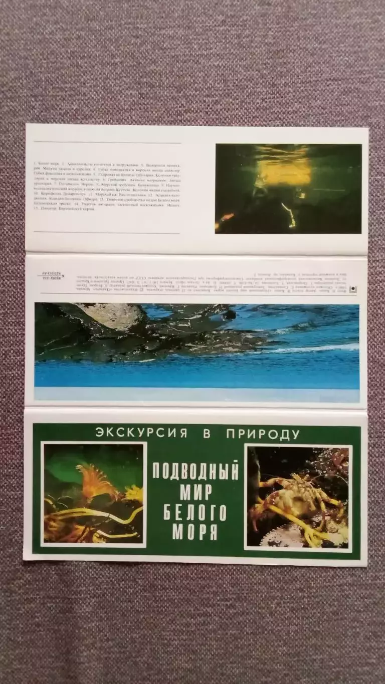 Подводный мир Белого моря 1980 г. полный набор - 15 открыток (флора и фауна) 1