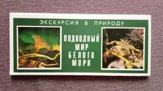 Подводный мир Белого моря 1980 г. полный набор - 15 открыток (флора и фауна)
