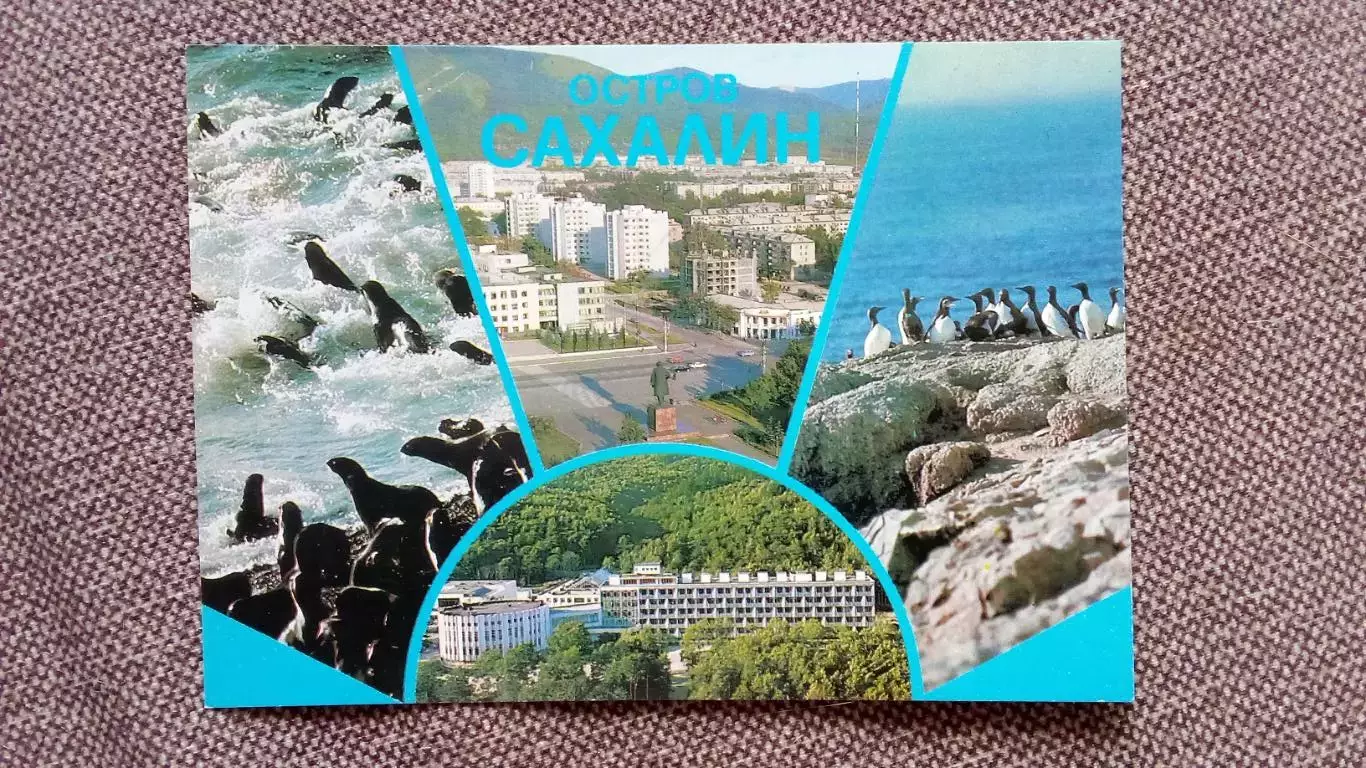 Сахалин 1987 г. Коллаж : Южно-Сахалинск Санаторий Морские котики (почтовая)