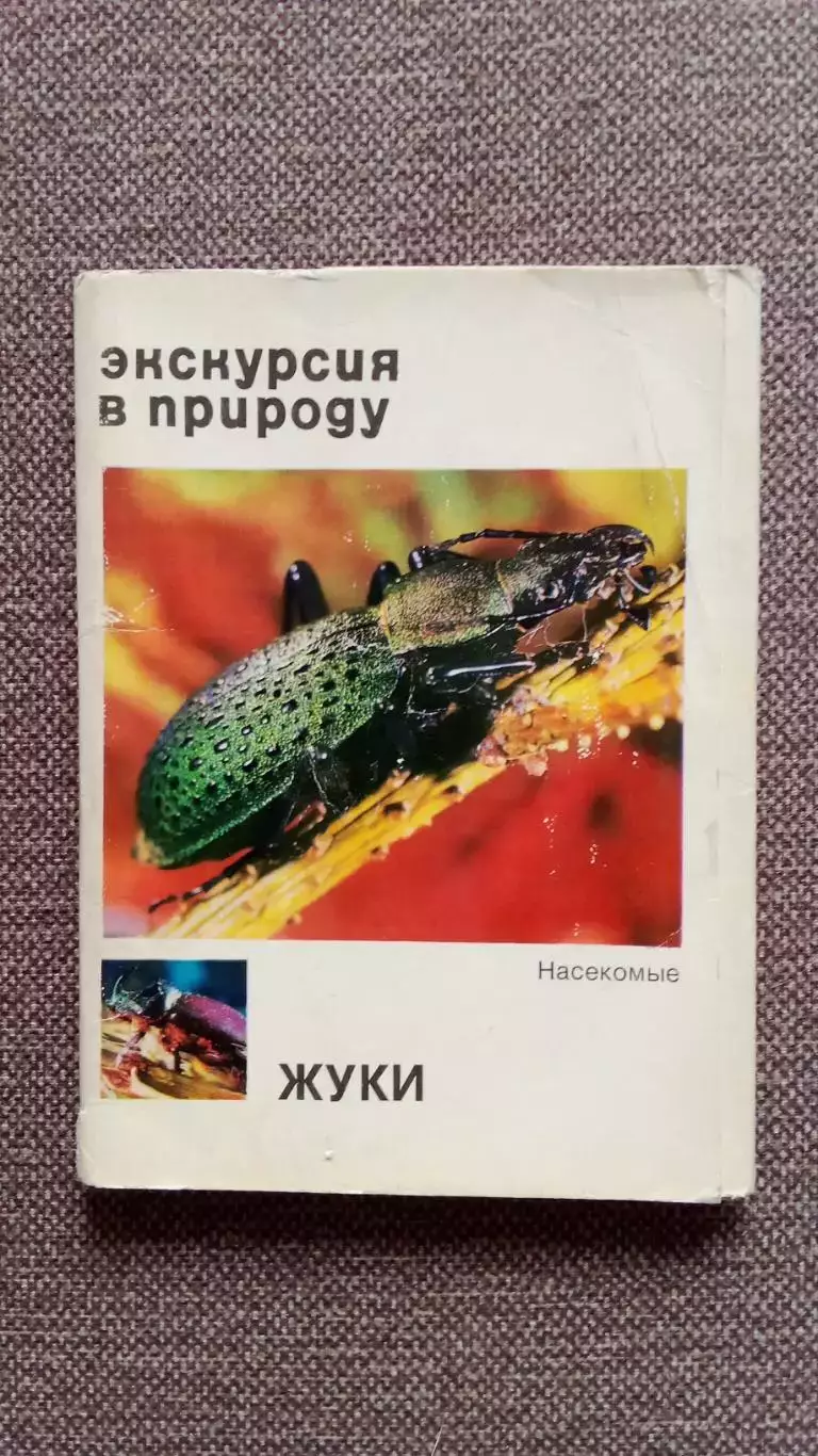 Экскурсия в природу : Жуки (Насекомые) 1977 г. полный набор - 25 открыток