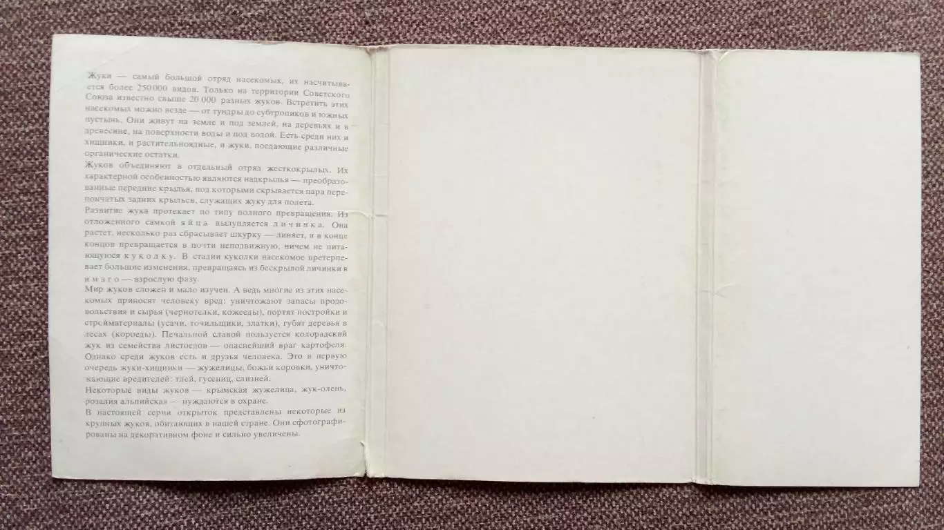 Экскурсия в природу : Жуки (Насекомые) 1977 г. полный набор - 25 открыток 2