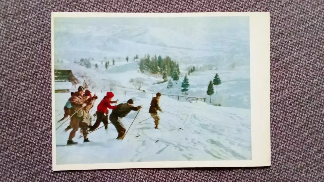 Закарпатье (Карпаты) - Туристы на лыжной прогулке 1962 г. Туризм Лыжный спорт
