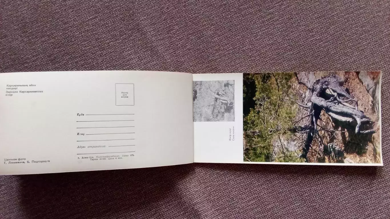 Живописные места Казахстана : Каркаралинск 1971 г. полный набор - 25 открыток 5