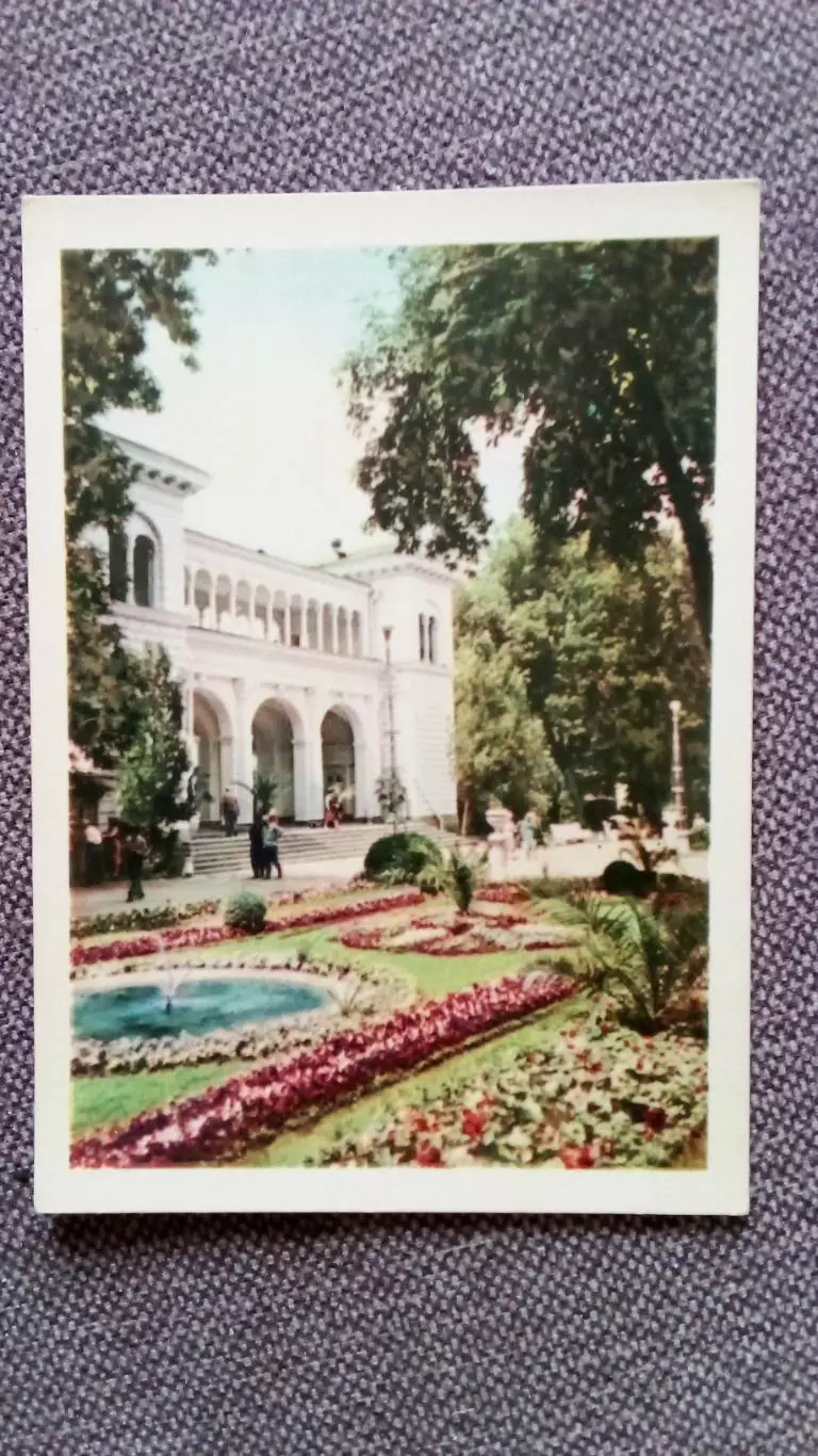 Северный Кавказ : Кисловодск - В парке ( Парк ) 1964 г. почтовая открытка