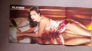 ЖурналPlayboyпостер из журнала Эротика Ню Девушка