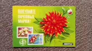 Карманный календарик : Покупайте почтовые марки 1979 г. Цветы Растения Флора