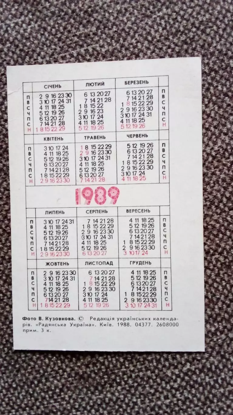 Карманный календарик : Мальчик кормит лошадь 1989 г. (фауна животные) Ребенок 1