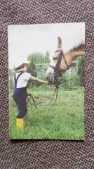 Карманный календарик : Мальчик кормит лошадь 1989 г. (фауна животные) Ребенок