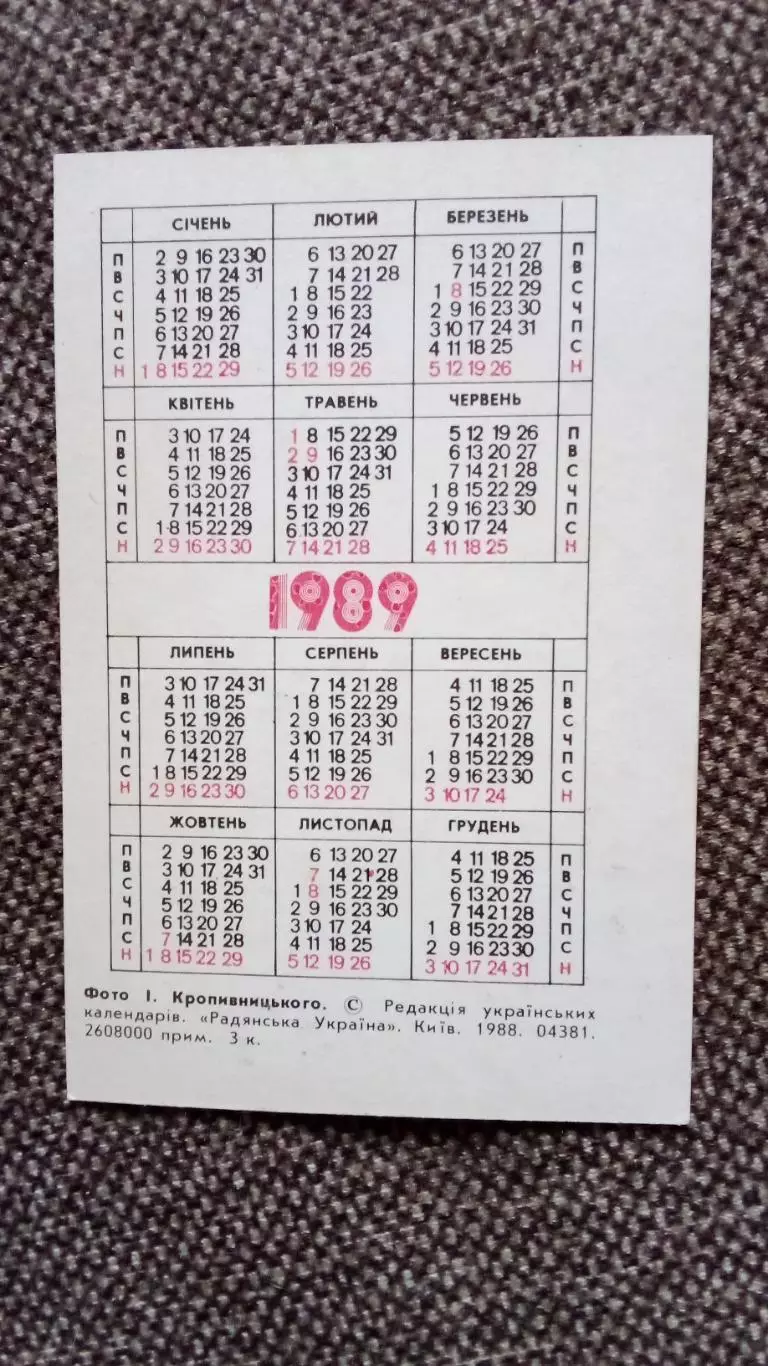 Карманный календарик : Виндсерфинг Парусный спорт 1989 г. Яхтсмен 1