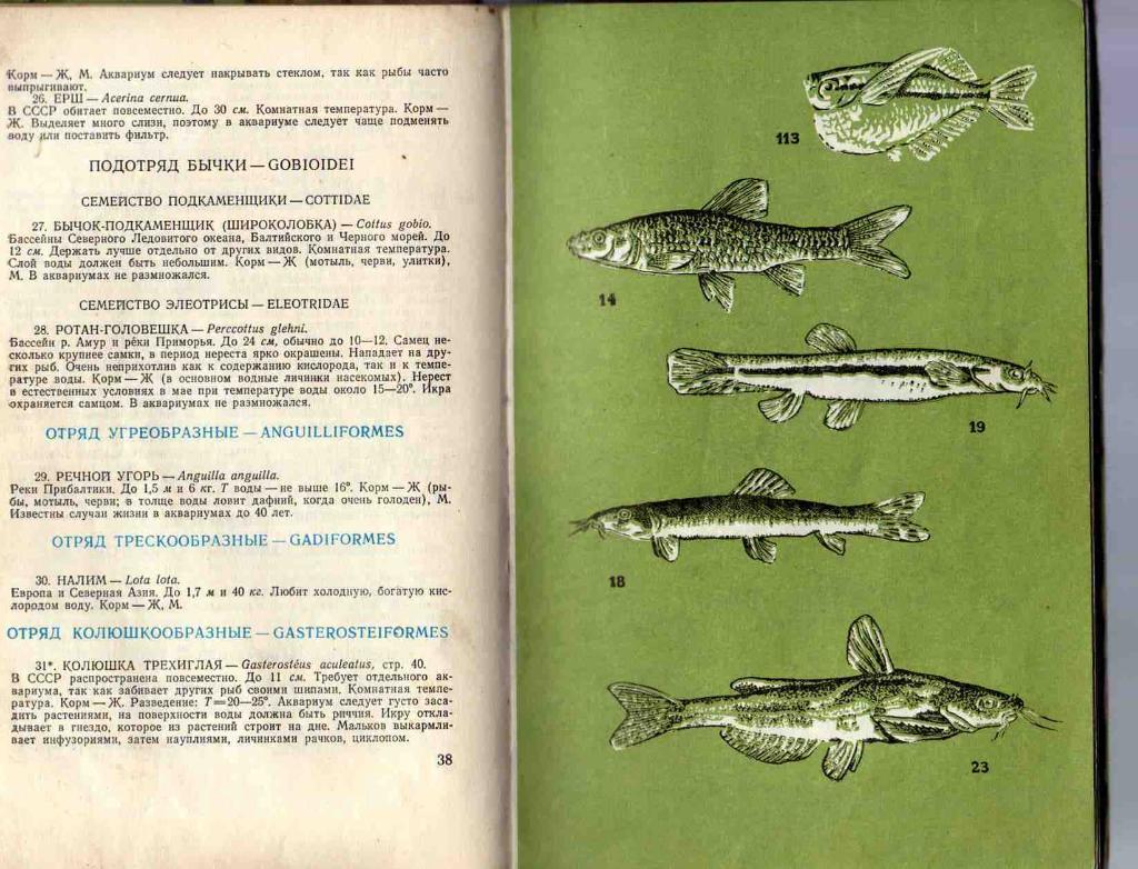А.С.Полонский Аквариумные рыбы 1974 г. 1