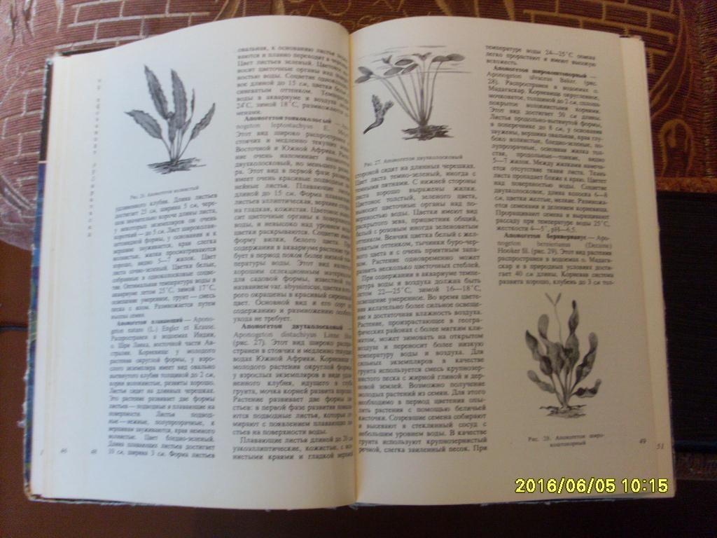 В.С.ЖдановАквариумные растения 1973 г. Аквариум 1