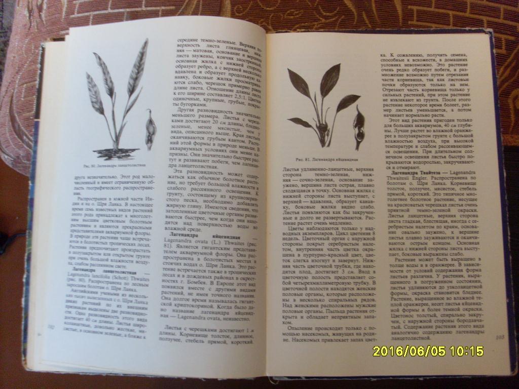 В.С.ЖдановАквариумные растения 1973 г. Аквариум 3