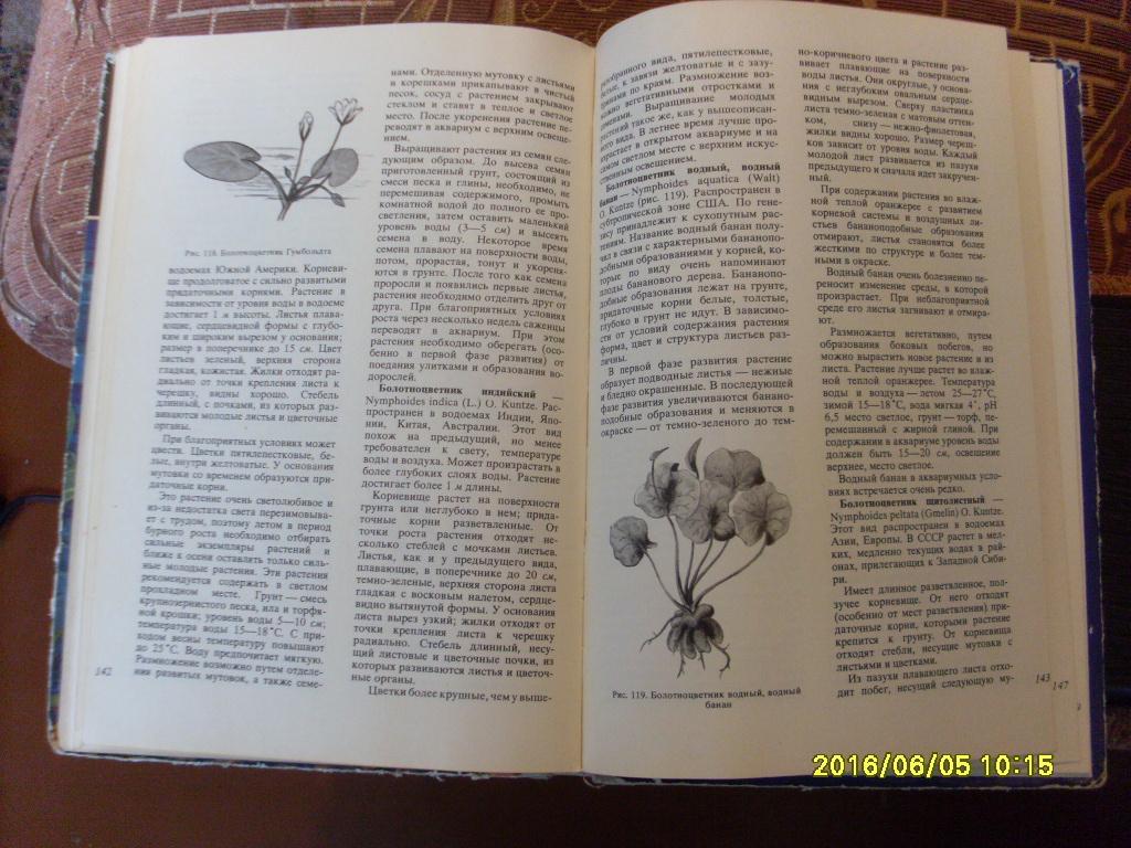 В.С.ЖдановАквариумные растения 1973 г. Аквариум 4