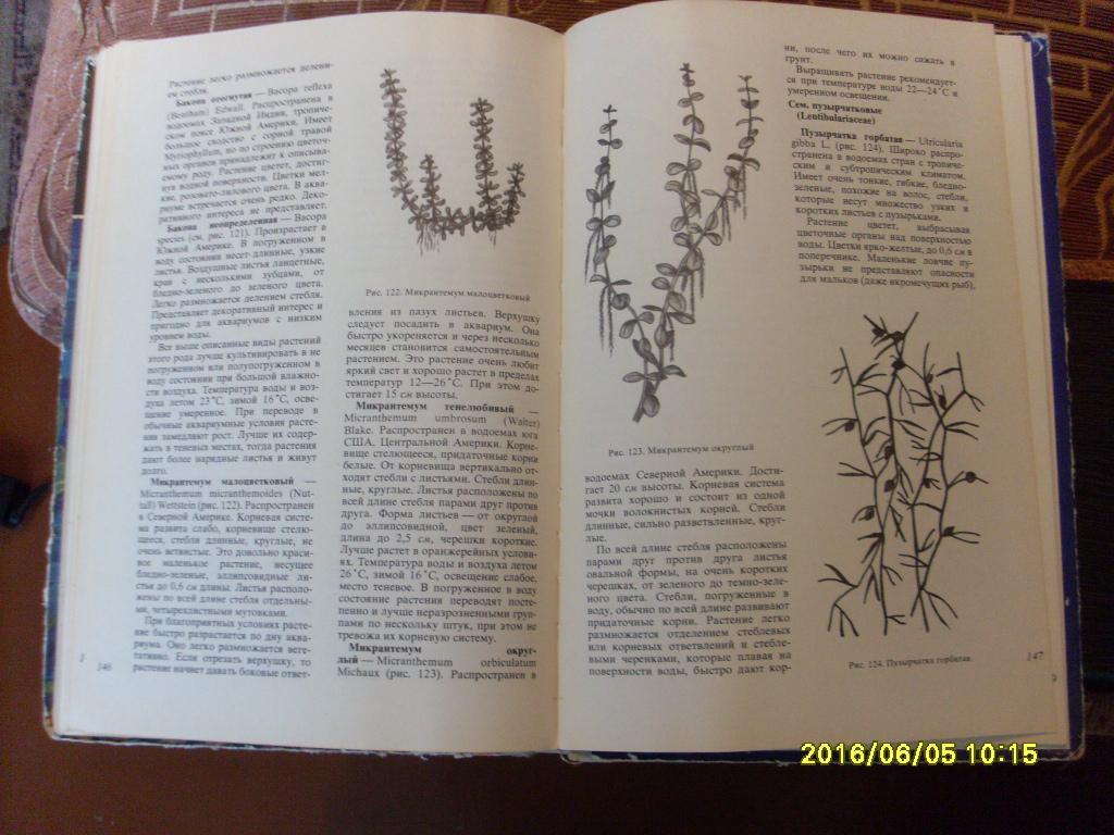 В.С.ЖдановАквариумные растения 1973 г. Аквариум 5