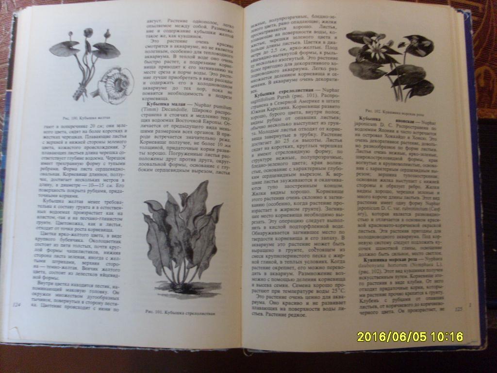 В.С.ЖдановАквариумные растения 1973 г. Аквариум 7