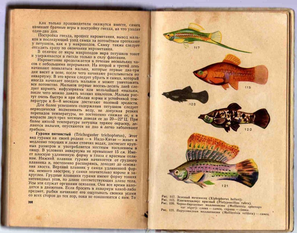 Комнатный аквариум ( издание 1965 г. ) 4