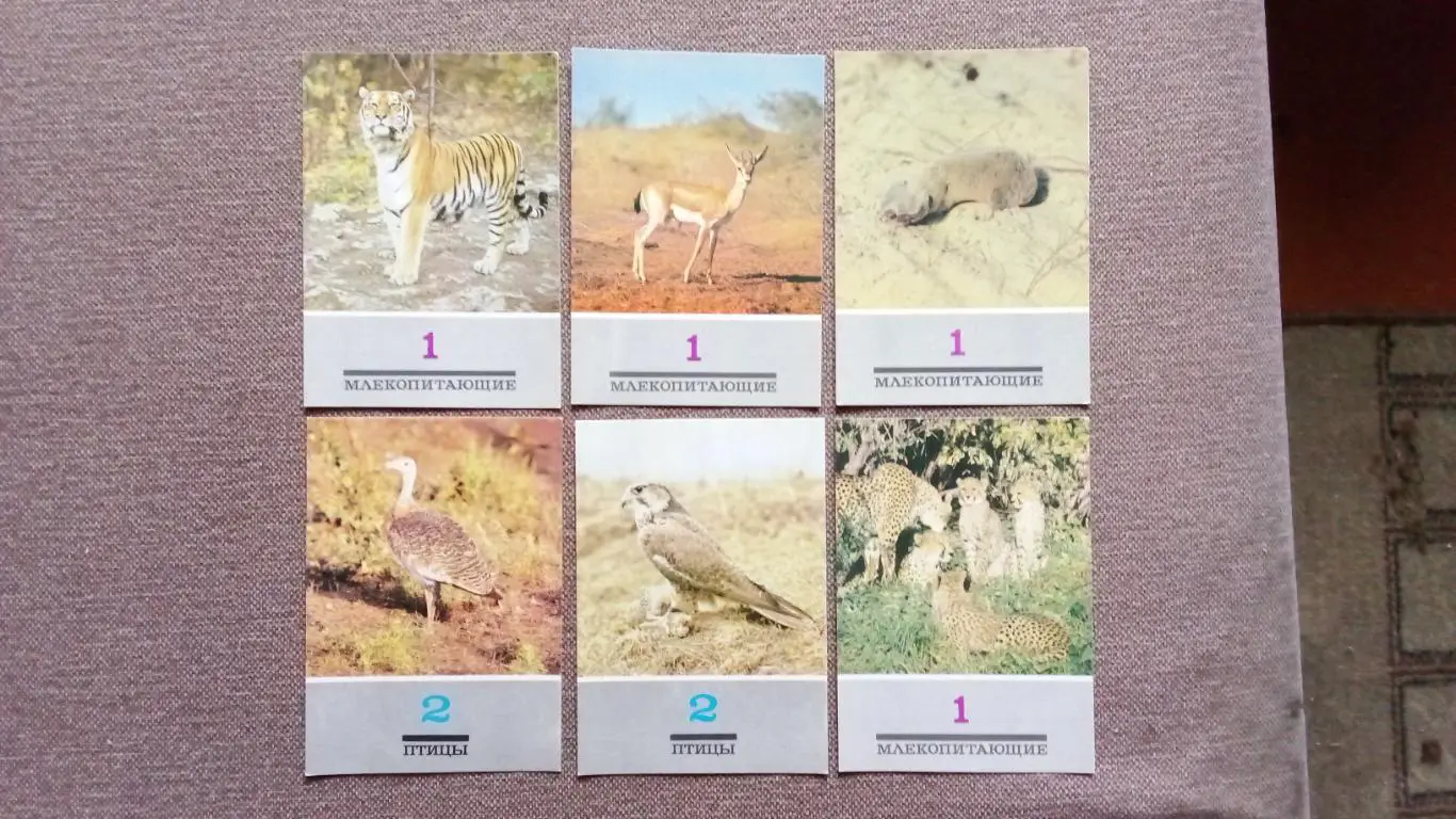 В мире животных 1989 г. полный набор - 18 открыток ( чистые ) Животные , фауна 3