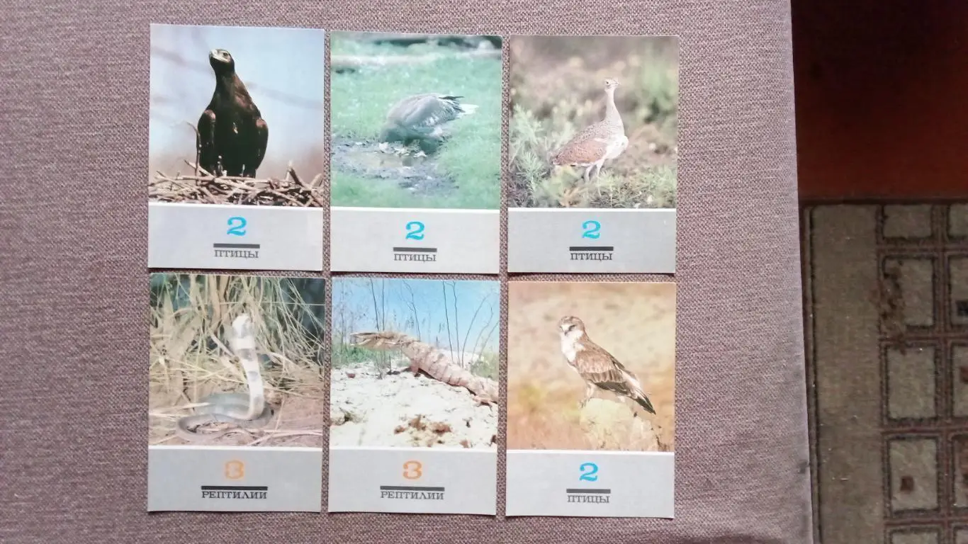 В мире животных 1989 г. полный набор - 18 открыток ( чистые ) Животные , фауна 4