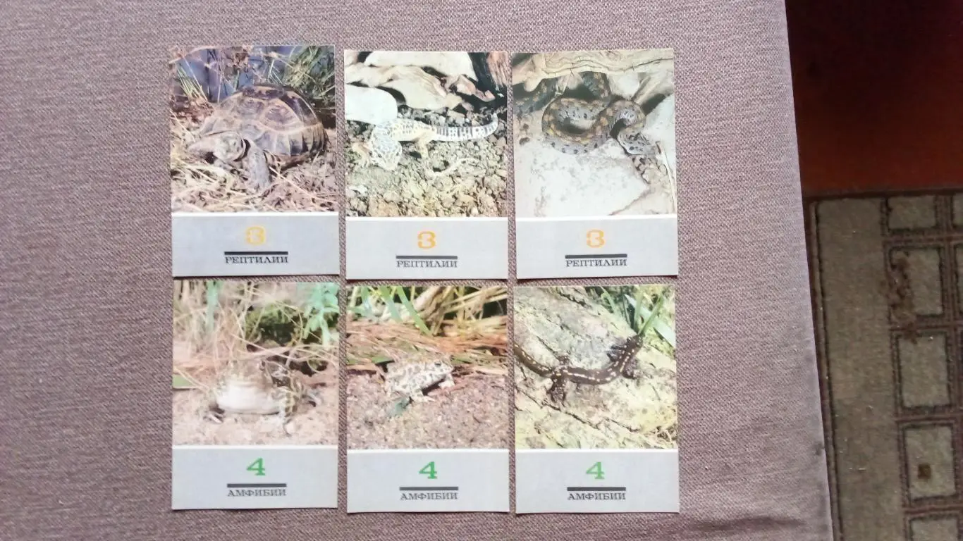 В мире животных 1989 г. полный набор - 18 открыток ( чистые ) Животные , фауна 5