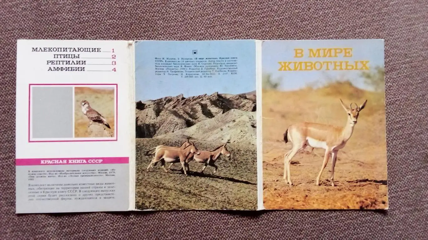 В мире животных 1989 г. полный набор - 18 открыток ( чистые ) Животные , фауна 1
