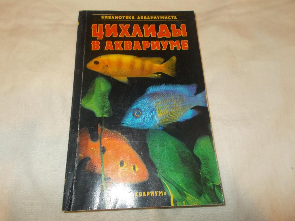 Аквариум Аквариумные рыбки - Цихлиды в аквариуме ( 2005 г. )