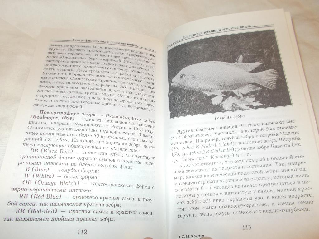 Аквариум Аквариумные рыбки - Цихлиды в аквариуме ( 2005 г. ) 2