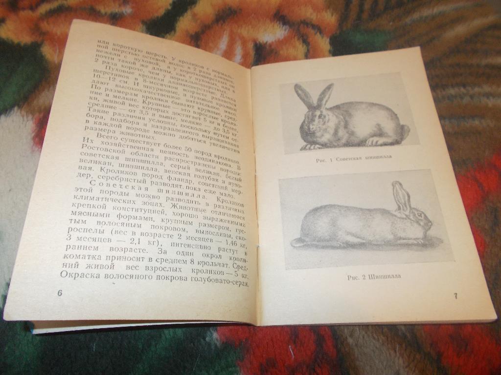 И.Тариченко - Выращивание кроликов ( 1980 г. ) 1