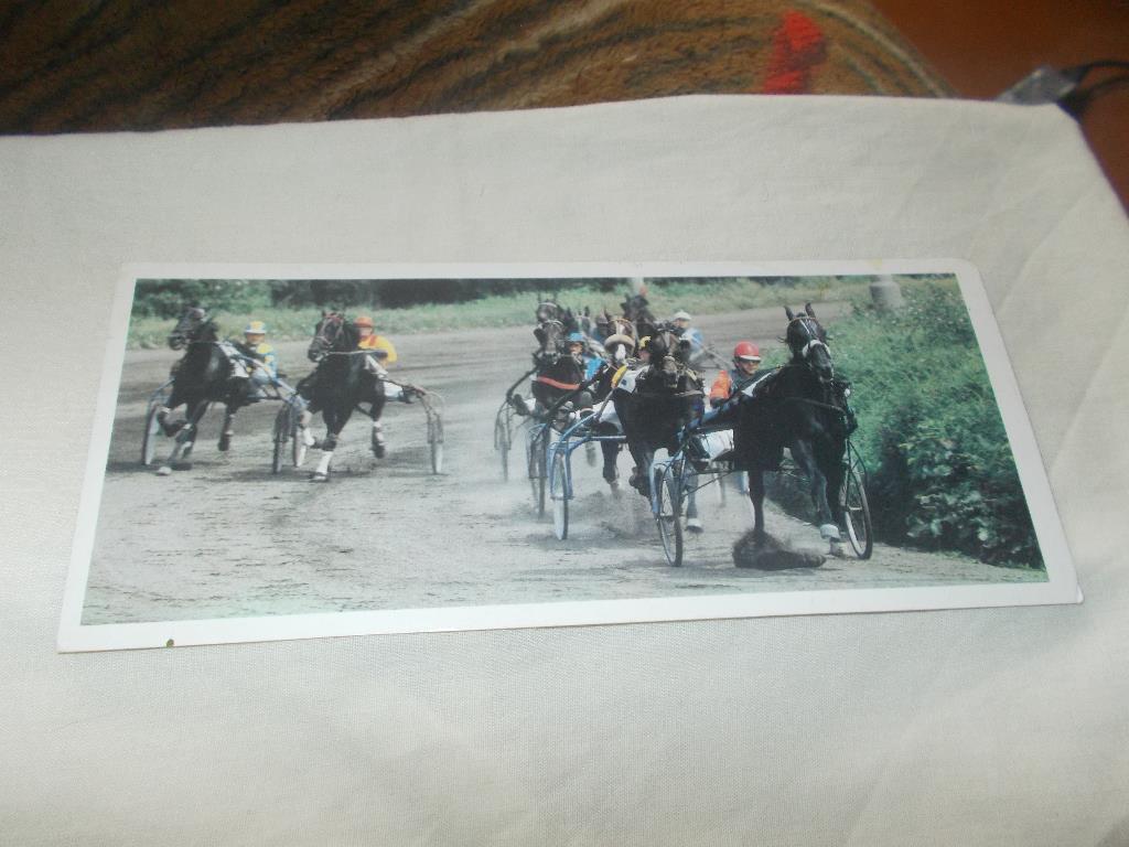 Ипподром Бега лошадей Скачки на лошадях 1988 г. ( чистая )