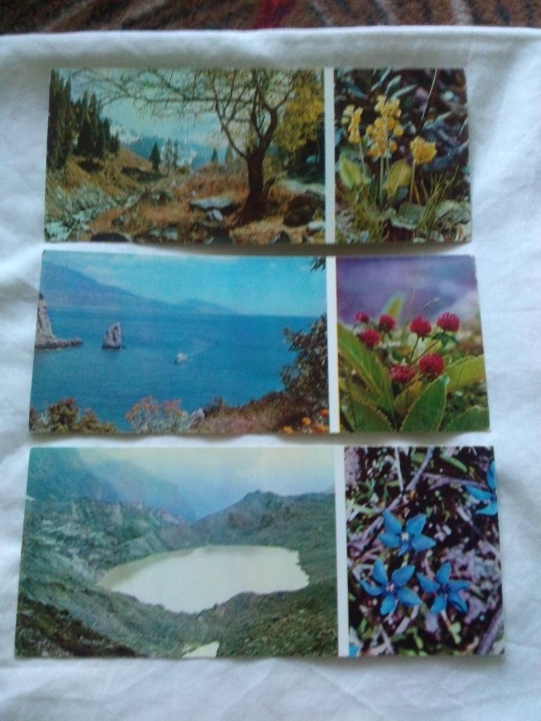 Флора : Цветы гор 1973 г. ( полный набор - 17 открыток ) чистые , в идеале 1