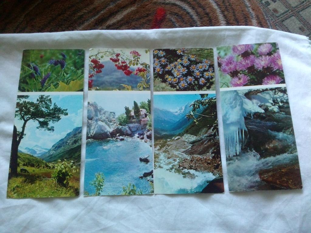 Флора : Цветы гор 1973 г. ( полный набор - 17 открыток ) чистые , в идеале 2