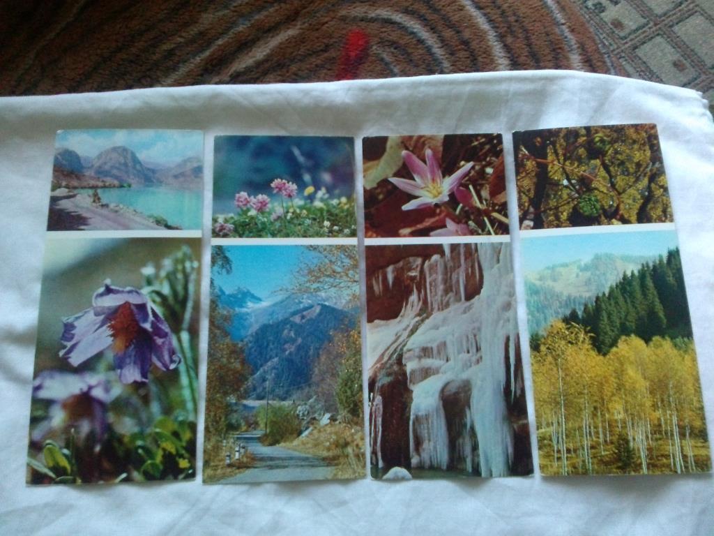 Флора : Цветы гор 1973 г. ( полный набор - 17 открыток ) чистые , в идеале 3