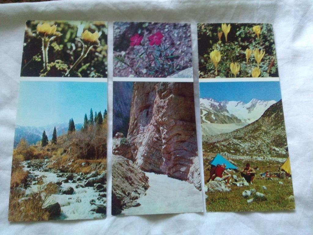 Флора : Цветы гор 1973 г. ( полный набор - 17 открыток ) чистые , в идеале 4
